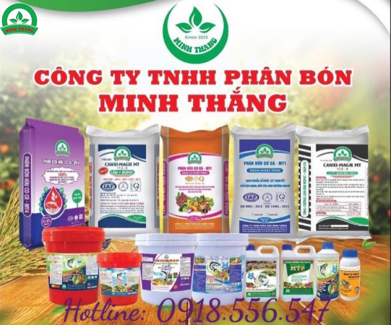 SẢN PHẨM CỦA CHÚNG TÔI