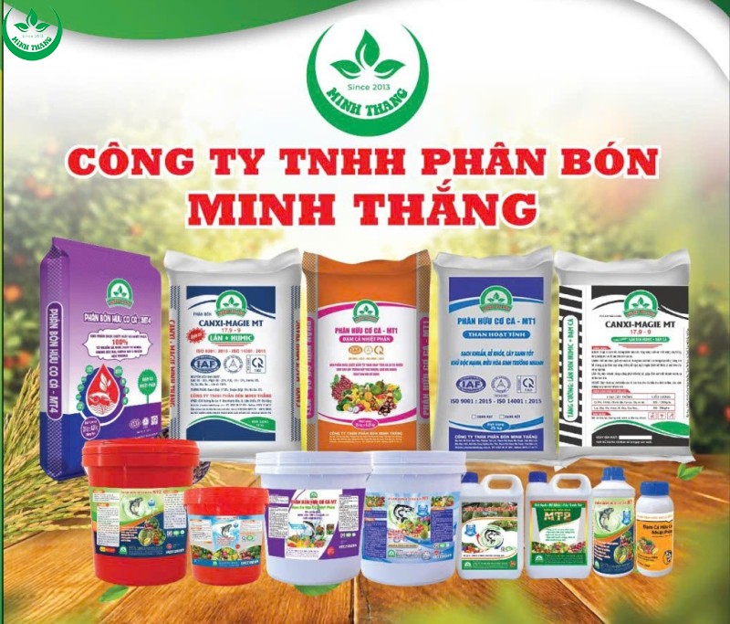 SẢN PHẨM CỦA CHÚNG TÔI