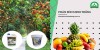 Phân bón hữu cơ đạm cá nhiệt phân Minh Thắng có tác dụng gì?