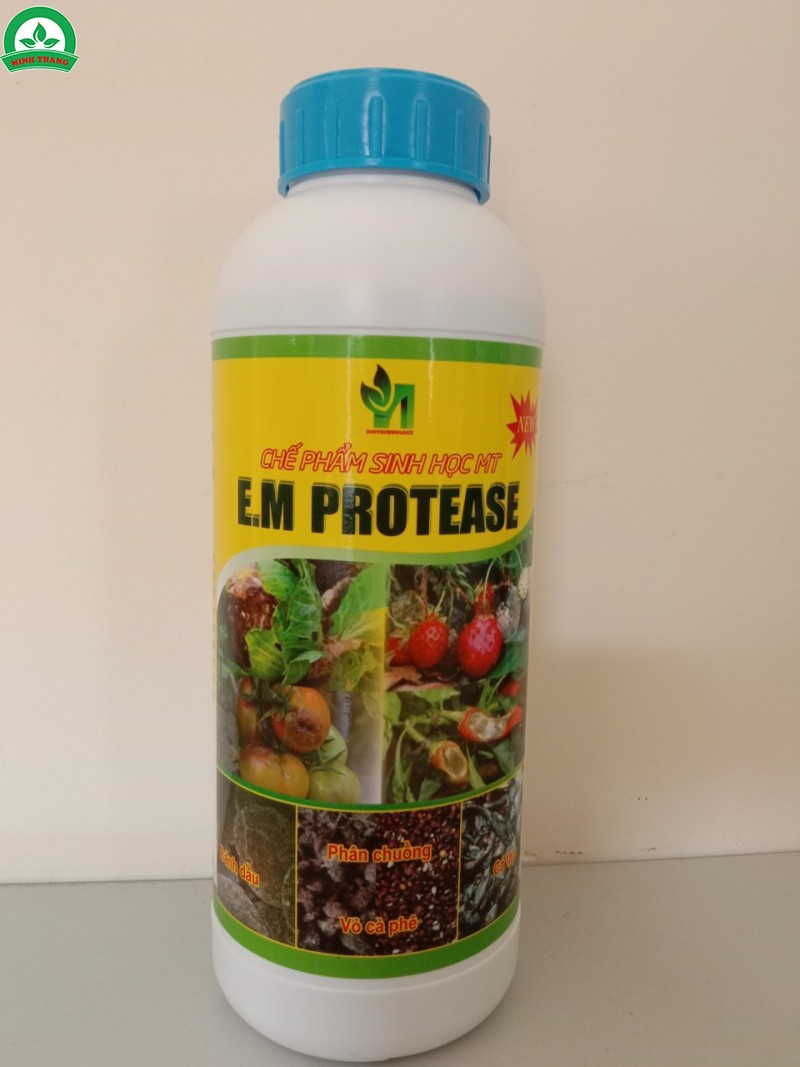 CHẾ PHẨM SINH HỌC MT - E.M PROTEASE (1LÍT)