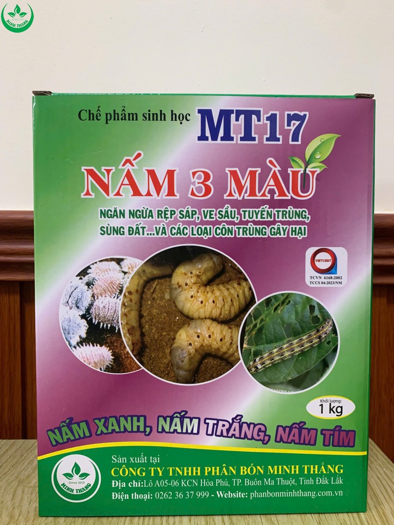 CHẾ PHẨM SINH HỌC MT17 (NẤM 3 MÀU)
