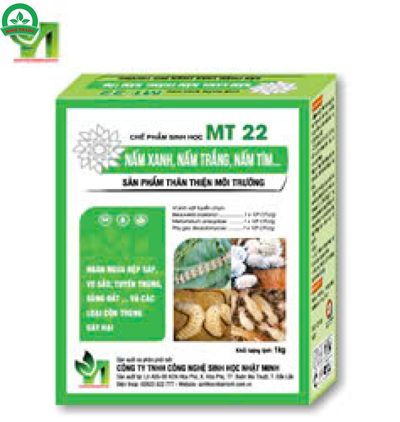 CHẾ PHẨM SINH HỌC MT 22 ( Nấm Xanh, Nấm trắng, Nấm Tím)