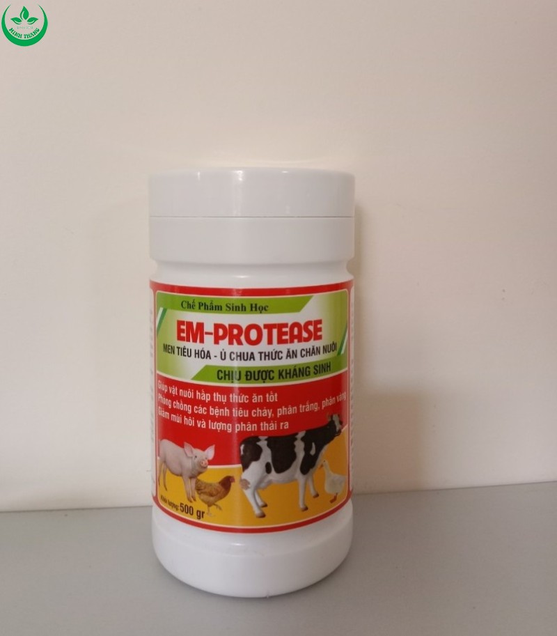 CHẾ PHẨM SINH HỌC EM PROTEASE MEN TIÊU HOÁ - Ủ CHUA THỨC ĂN CHĂN NUÔI